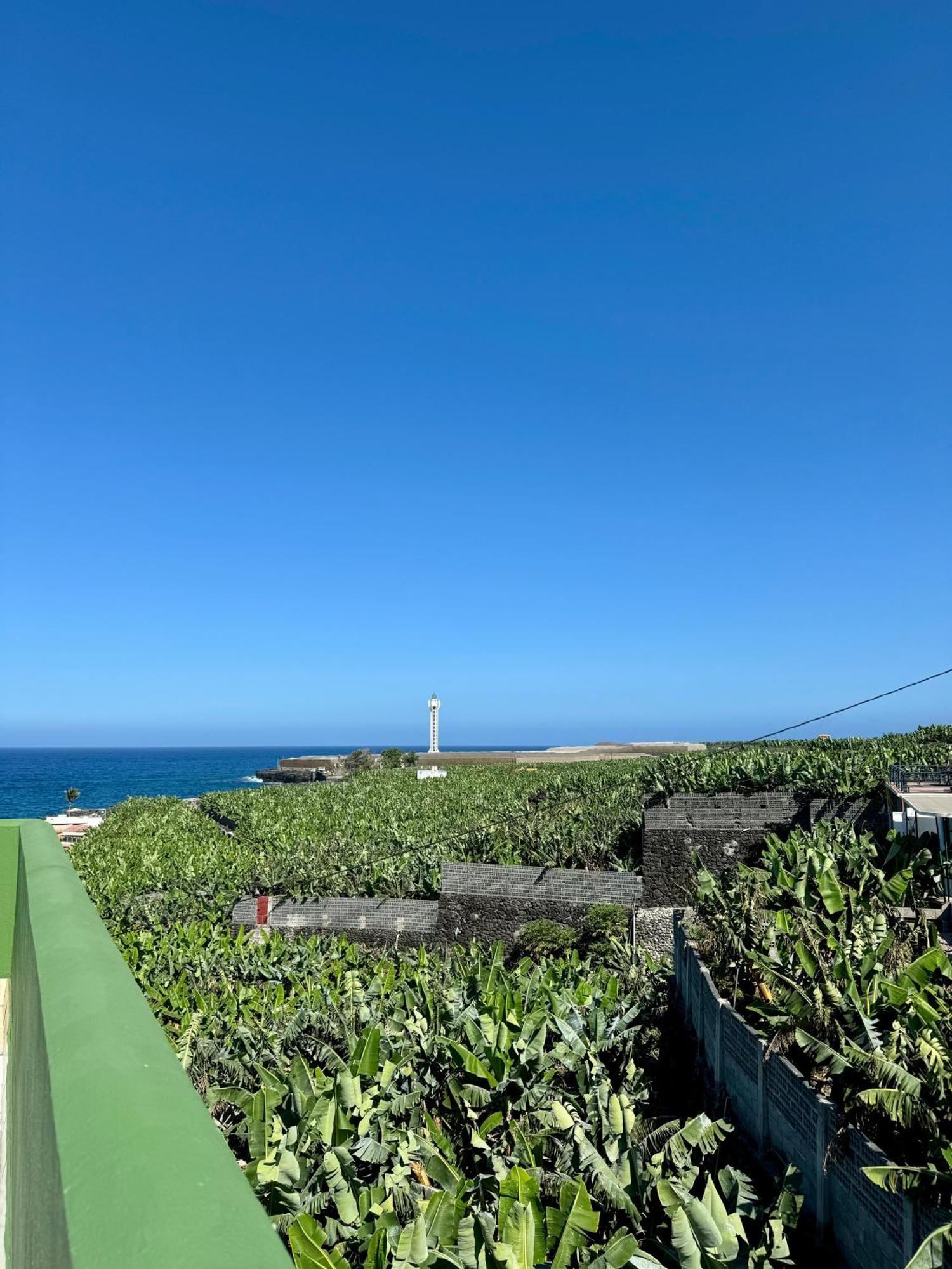 Apartamento Mangos Mar B Puerto De Naos Exterior foto
